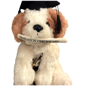 Graduation Dog