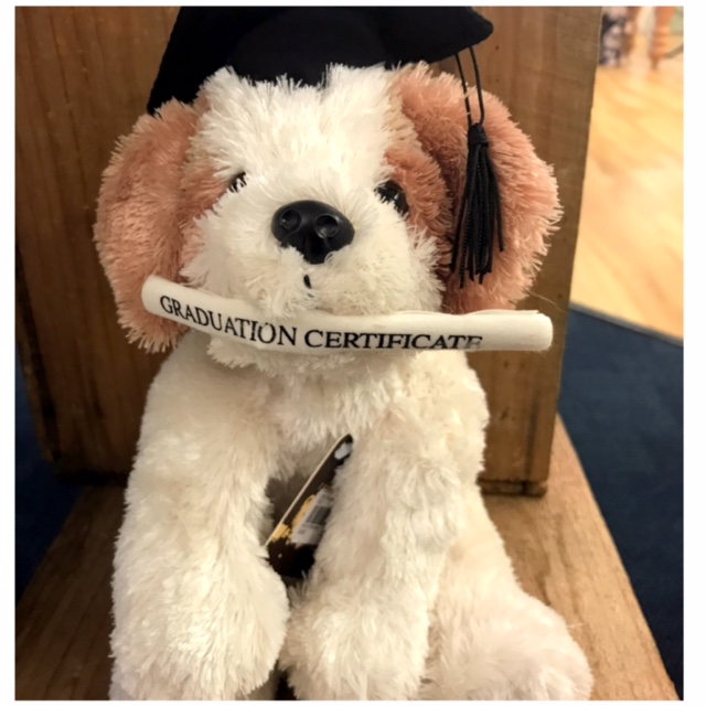 graduation puppy plush