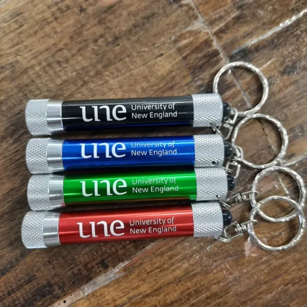 UNE Torch key rings