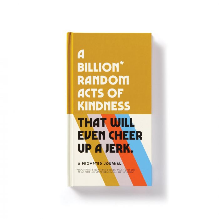 Journal – A billion random acts of kindness