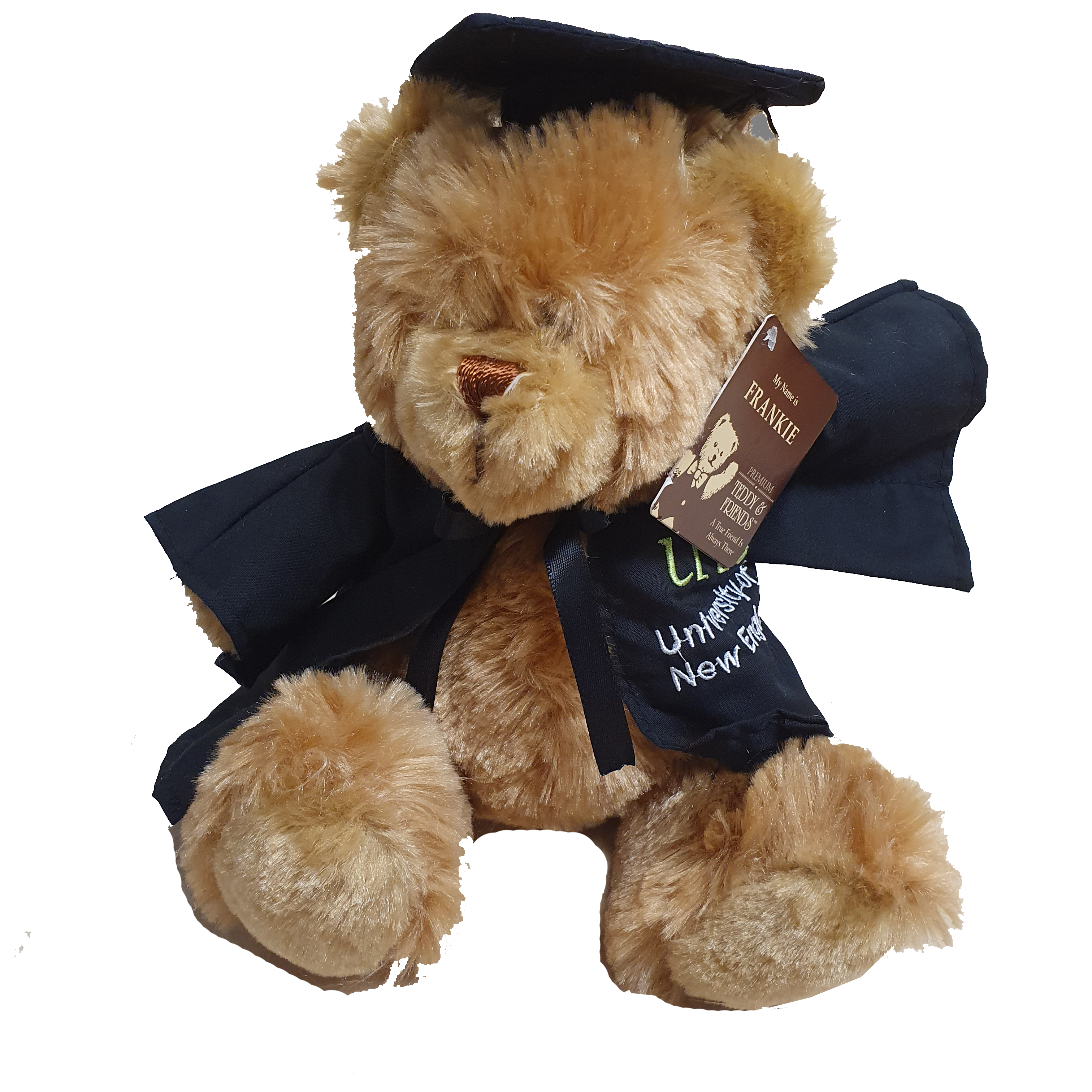 Graduation Bear – Frankie Brown (UNE Logo) 28cm