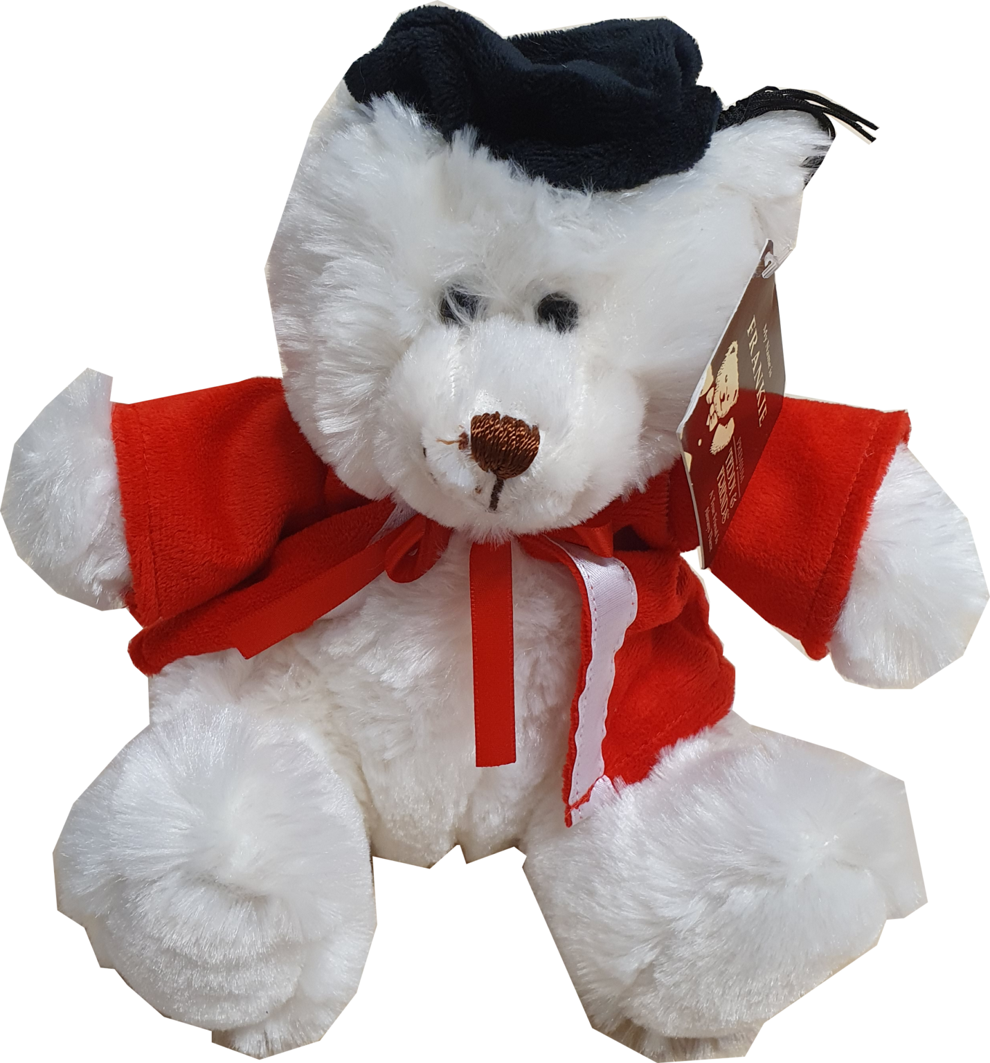 TAFE NSW Grad Bear Hugo main image 1