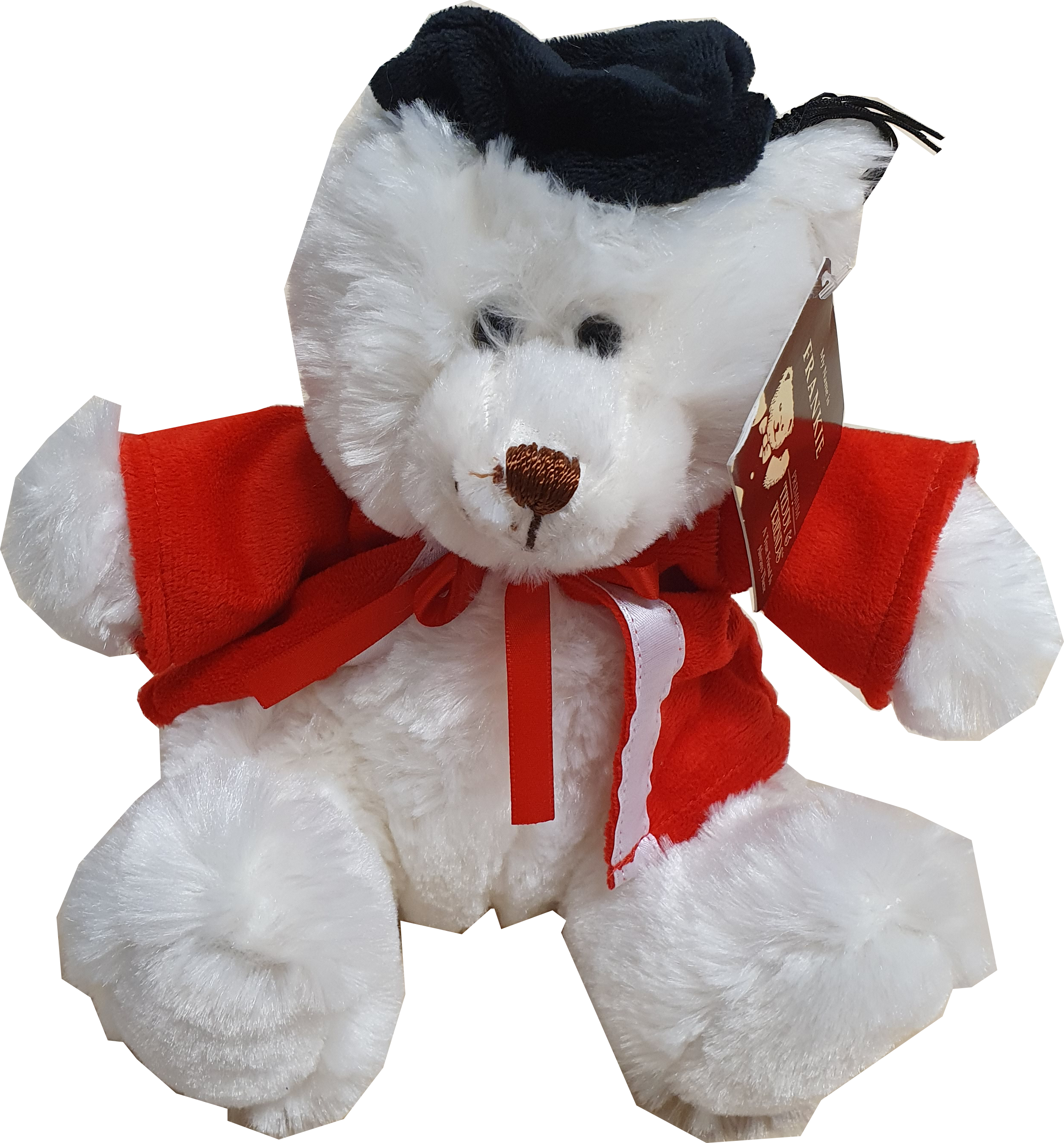 Graduation Bear – Frankie White (PHD) 28cm